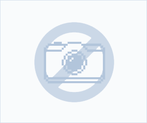 Watkyne : Sur les traces de Watkyne par Anne-Claire