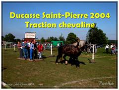Ducasse Saint-Pierre 2004 : Traction chevaline