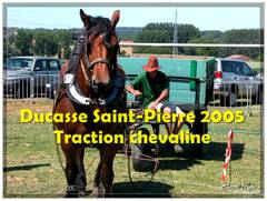 Ducasse Saint-Pierre 2005 - Traction chevaline