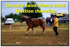 Ducasse Saint-Pierre 2008 - Traction chevaline
