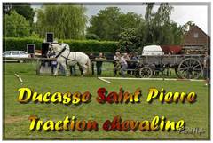 Ducasse Saint-Pierre 2009 - Traction chevaline