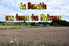 Fête de la moisson 2011 - Lahamaide