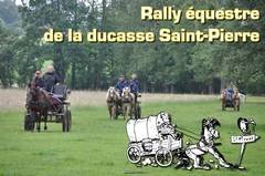 Ducasse Saint-Pierre 2012 - Rallye équestre