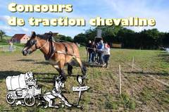 Ducasse Saint-Pierre 2012 - Traction chevaline