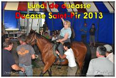 Ducasse Saint-Pierre 2013 - Lundi de ducasse