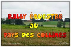 Ducasse Saint-Pierre 2014 - Rallye équestre