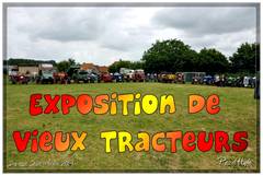 Ducasse Saint-Pierre 2014 - Exposition de vieux tracteurs