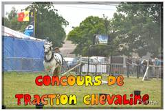 Ducasse Saint-Pierre 2014 - Traction chevaline