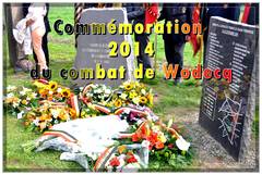 Commémoration du Combat de Wodecq 2014