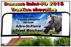 Ducasse Saint-Pierre 2015 - Traction chevaline