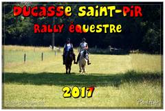 Ducasse Saint-Pierre 2017 - Rallye équestre