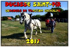 Ducasse SaintPierre 2017 - Traction chevaline