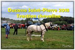 Ducasse Saint-Pierre 2018 - Traction chevaline
