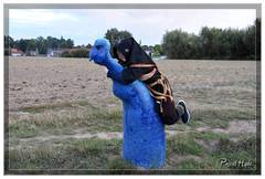 Nuit de l'étrange sur le sentier de l'étrange