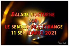 Balade nocturne sur le sentier de l'étrange