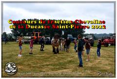 Ducasse Saint-Pierre 2022 - Concours de traction Chevaline