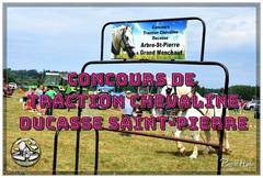 Ducasse Saint-Pierre 2023 - Concours de traction chevaline