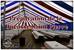 Ducasse Saint Pierre 2024 : Préparations