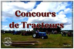 Ducasse Saint Pierre 2024 : Concours de tracteurs