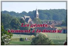 Ducasse Saint Pierre 2025 : 4 Les géants viennent à la ducasse