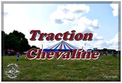 Ducasse Saint Pierre 2025 : 12 Dimanche de ducasse