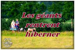 Ducasse Saint Pierre 2025 : 15 Les géants rentrent hiberner